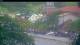 Les Anses-d'Arlet 30.04.2025 09:37