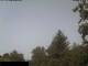 Miehlen 09.06.2025 09:33