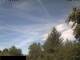 Miehlen 05.07.2025 09:32