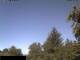 Miehlen 25.06.2025 09:32