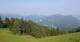 Winkl 09.06.2025 09:33