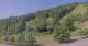 Hirschegg 15.06.2025 09:33