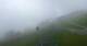 Saalbach Hinterglemm 07.07.2025 09:33