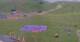 Kuzun 09.07.2025 09:33