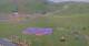 Kuzun 02.07.2025 09:33