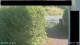 Hasloch am Main 30.04.2025 09:34