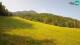 Kranjska Gora 09.06.2025 09:33