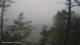 Pointe au Baril 30.06.2025 09:33