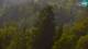 Kranjska Gora 20.06.2025 09:34