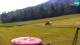 Kranjska Gora 14.06.2025 09:34