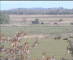 Wyk auf Föhr 09.05.2025 09:49