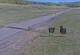 Creede, Colorado 08.06.2025 09:36