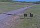 Creede, Colorado 14.06.2025 09:36
