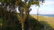 Markgrafenheide 10.07.2025 09:34
