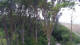 Markgrafenheide 14.06.2025 09:34