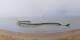 Saint-Brevin-les-Pins 30.04.2025 09:11