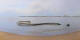 Saint-Brevin-les-Pins 01.05.2025 09:09