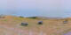 Donville-les-Bains 22.06.2025 09:04