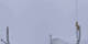 Crans-Montana 06.05.2025 09:34