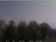 Giamosa 25.06.2025 09:35