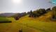Bohinj 04.08.2026 09:35