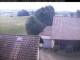 Hunderdorf 15.07.2025 09:52