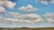 Hallig Hooge 02.07.2025 09:50