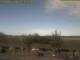 Baabe (Rügen) 23.04.2025 09:50