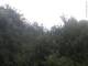 Herdecke 08.06.2025 09:50