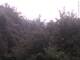 Herdecke 05.07.2025 09:50