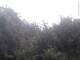Herdecke 22.05.2025 09:50