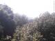 Herdecke 18.04.2025 09:50