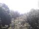 Herdecke 29.04.2025 09:50