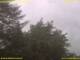 Nettetal 13.07.2025 09:53