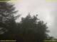 Nettetal 06.07.2025 09:50