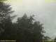 Nettetal 15.06.2025 09:50