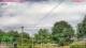 Thatcham 22.06.2025 09:51