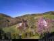 Diedenshausen (Bad Berleburg) 30.04.2025 09:51