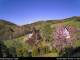 Diedenshausen (Bad Berleburg) 29.04.2025 09:51
