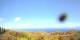 Puntagorda (La Palma) 15.06.2025 09:51