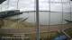 Brightlingsea 05.07.2025 09:51