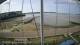 Brightlingsea 15.06.2025 09:51