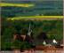 Lauenau 30.04.2025 09:51