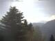 Leysin 14.06.2025 09:51