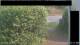 Hasloch 08.06.2025 09:51