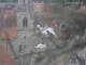 Dinkelsbühl 11.05.2025 09:51