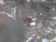 Dinkelsbühl 11.07.2025 09:51