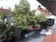 Rimbach 09.06.2025 09:45