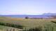 Laukvik 16.07.2025 09:56