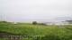 Laukvik 14.06.2025 09:52